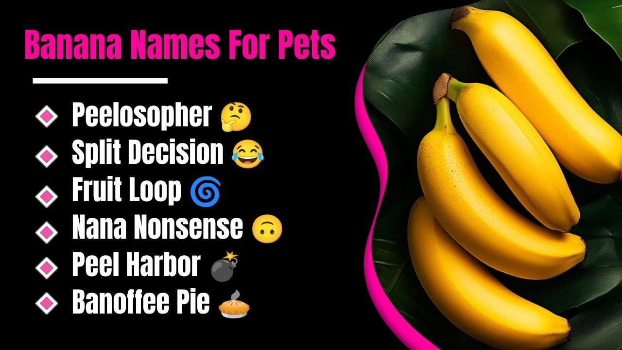 241+ Banana Names For Pets: Cute, Funny, Punny & Creative Picks You’ll Love