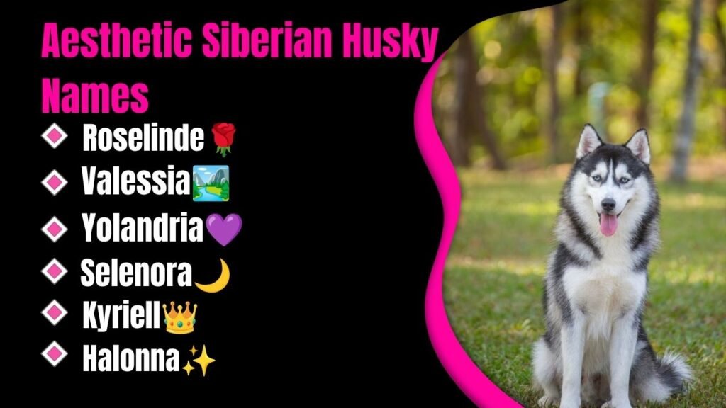 Aesthetic Siberian Husky Names