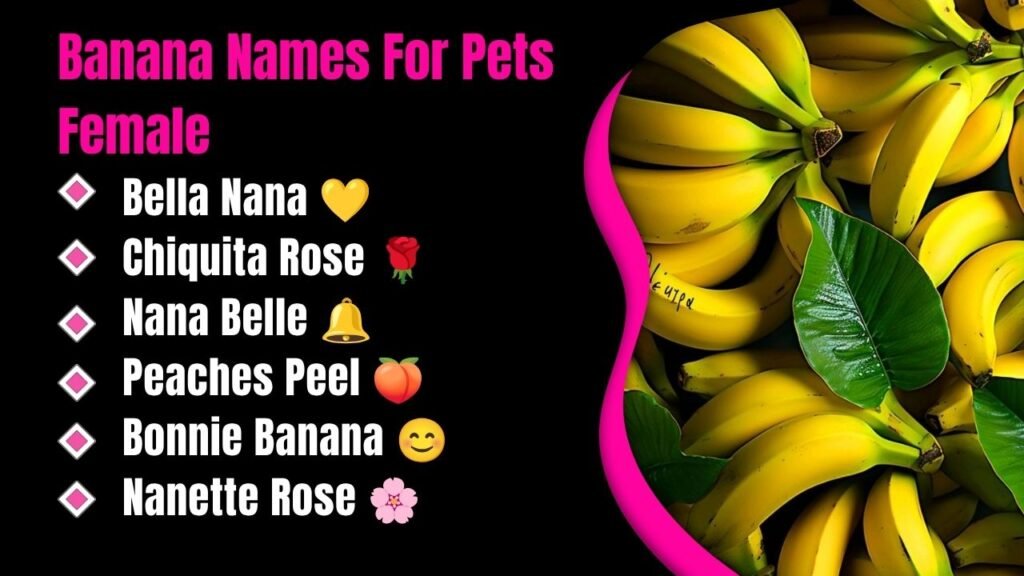 Banana Names For Pets Female