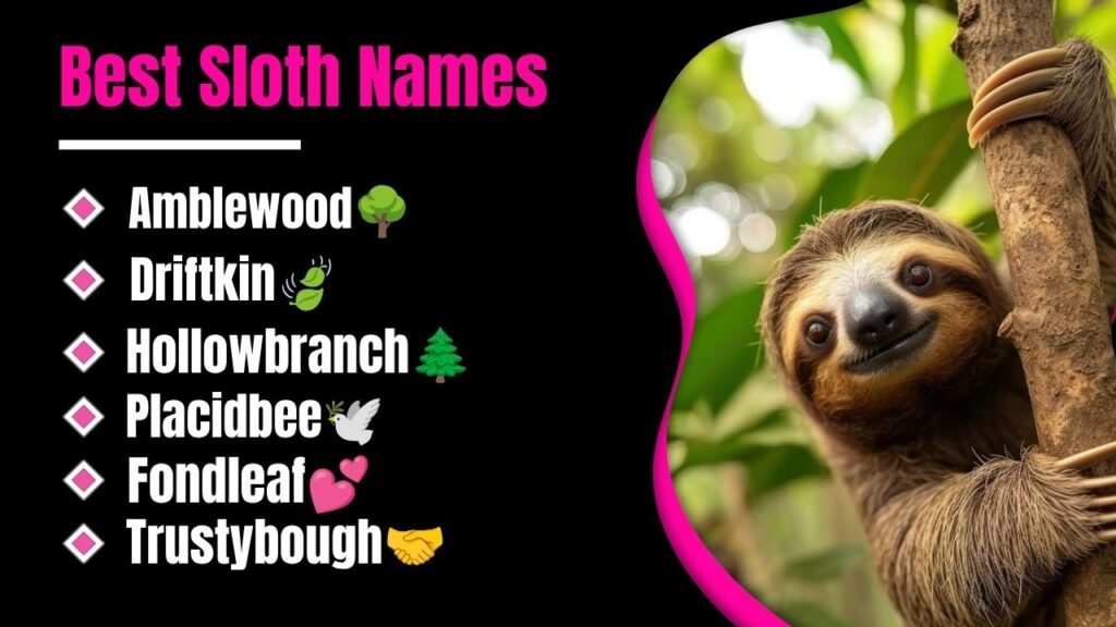 Best Sloth Names