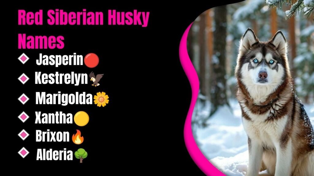 Red Siberian Husky Names