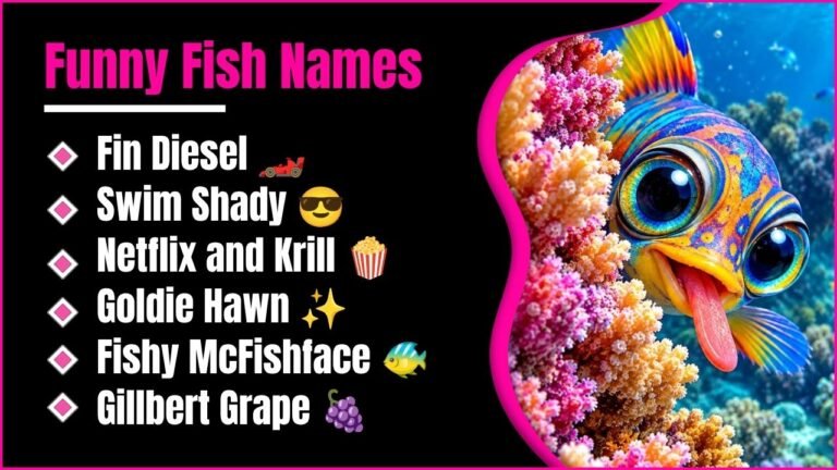 914+ Funny Fish Names That Are So Hilarious You Will Want To Steal One!
