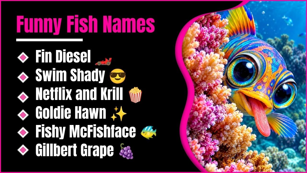 914+ Funny Fish Names That Are So Hilarious You Will Want To Steal One!